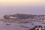 稲取漁港風景